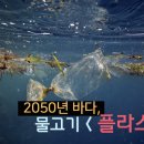 플라스틱카페 이미지