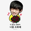 안녕하새우 이미지
