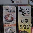 황금꽃돼지