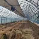 시우네농장 이미지