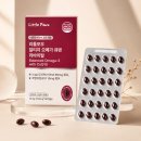 국제크릴 | 리틀포우 알티지 오메가3 솔직후기, 11살 보더콜리 나무를 위한 rTG 강아지 오메가3 강아지 심장영양제