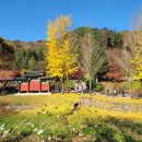 배론성지 이미지