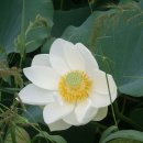 아벨농장 이미지