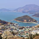 지죽도 Daum카페