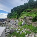 제주 서귀포층 패류화석 산지 | 제주도 서귀포층 패류화석산지_제주도 지질공원 서귀포층