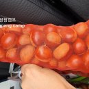 향율농원