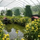 원앙농장 이미지