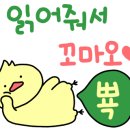 엠스파짐 이미지