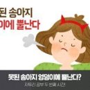 버르장머리 이미지
