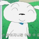 견식파티 이미지