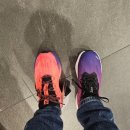 알파(주)본점 | 추천] 풀마라톤 준비 러닝화 매장투어 - 로드 러닝화 착화감 후기 (살로몬, 나이키, 뉴발란스, 아디다스)