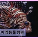 제이엠동물병원