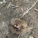 관악산 자연학습장 화장실 이미지