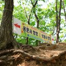 대명산기
