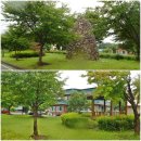 우봉경로당 이미지