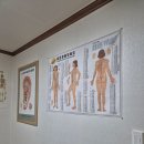 케이교정원 - 부천시 원미구 부천로198번길 18 | 케이교정원