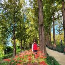 난지천공원 이미지