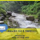 비잔교육 이미지