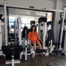 웰빙건강랜드 이미지