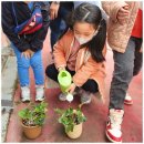 계명대마스터태권도 이미지