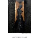 주명