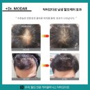 모다르헤어 네이버블로그