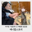 세상에서 제일 작은 개구리 왕자 | 비오는날 실내 아기랑 가볼만한곳 체험형동물원 창원마산 애니멀스토리