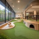 힐링 펫 카페 이미지