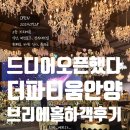 부림빌딩 | 더 파티움 안양 브리에 홀 하객 첫 오픈날 간 후기 (내부사진 공유)