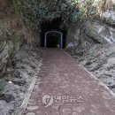 제주 셋알오름 일제동굴진지 이미지