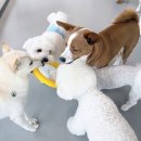 칠곡유치원 이미지