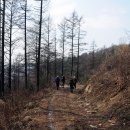 도락농장 이미지