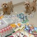(주)제주메가투어 | 2026 메가주 일산 시즌1 방문 후기 쇼핑리스트