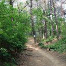 수원-1232 이미지