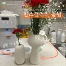 내돈내산 도자기 꽃병 추천 <한스갤러리> 모던 e, g 오브제 구매 후기