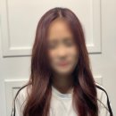 헤일로 살롱 이미지