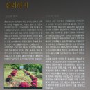 천주교대전교구 판암동교회 | 〔당진시〕 신리성지(新里聖地)