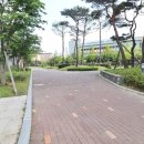 새미래숲공인중개사사무소 이미지