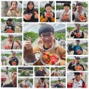 천인농장 이미지