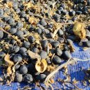 군위군농업기술센터 임대사업소 이미지