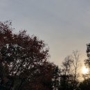 개운농장 이미지