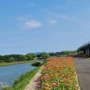 오천그린광장 이미지