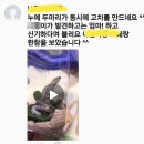 쉼터 카페 방문(과천 지역 사회 연계) 카페란?,누에 고치 실 뽑기,누에 실 뽑기,비단만드는과정,비단제조,비단실 만드는 누에,누에 키우기,누에관찰,누에분양 이미지