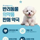터미널종로약국 네이버블로그