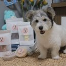 갑순이네 과자점 이미지