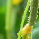 모믈88의원 이미지