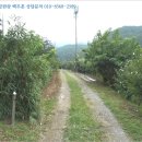 외광보건진료소 이미지