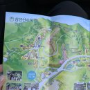 삼선산수목원 벚나무 | 당진여행 : 봄 , 당진수목원 삼선산수목원(늦은 후기)