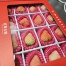 과실당제2