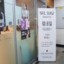 네일잎새달